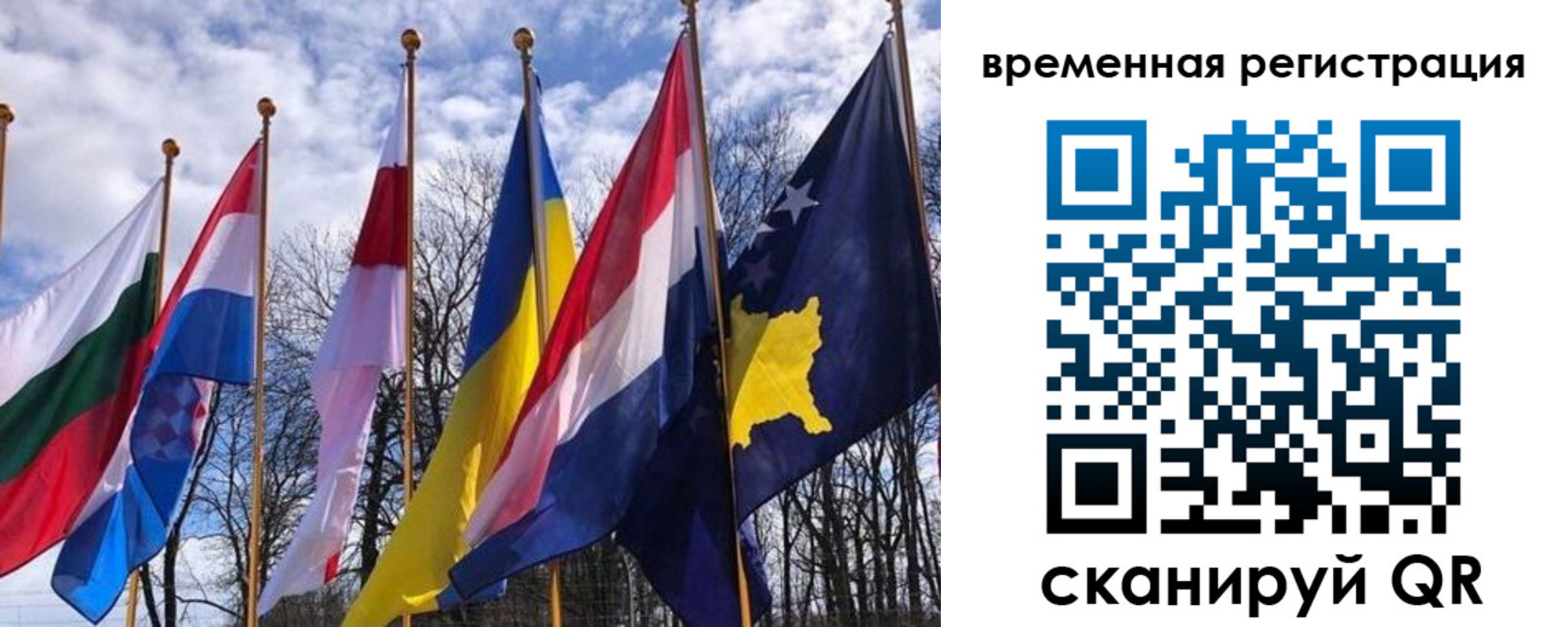 прописка гарантия в Новотроицке